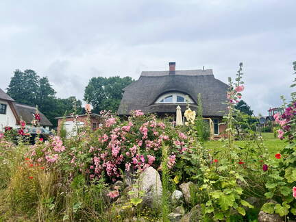 24-07-03 11-56-37 0153